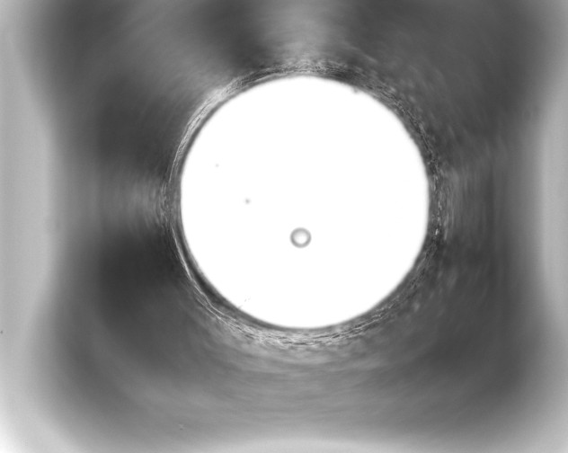 X0000103960003200810031213