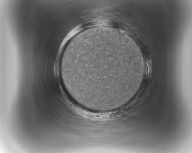 X0000103960004200810031213