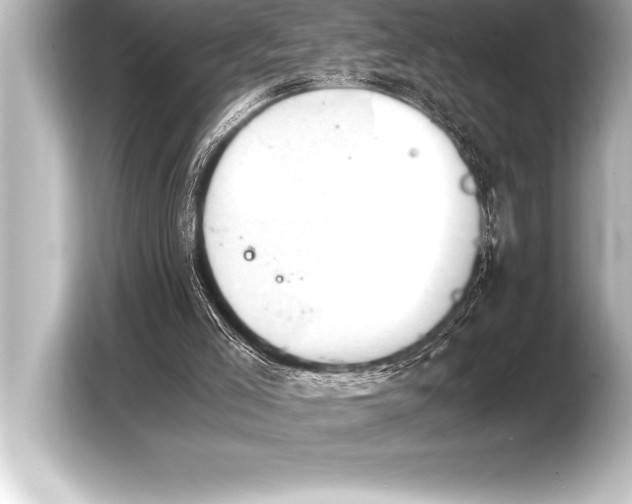 X0000103960005200810031213