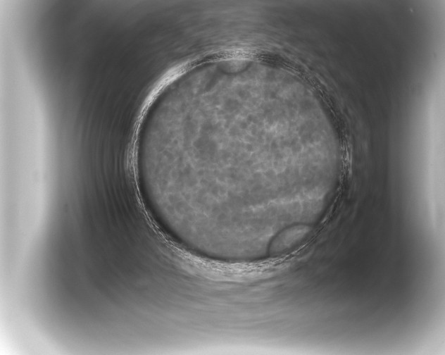 X0000103960006200810031213