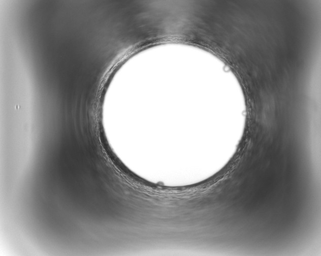 X0000103960007200810031213