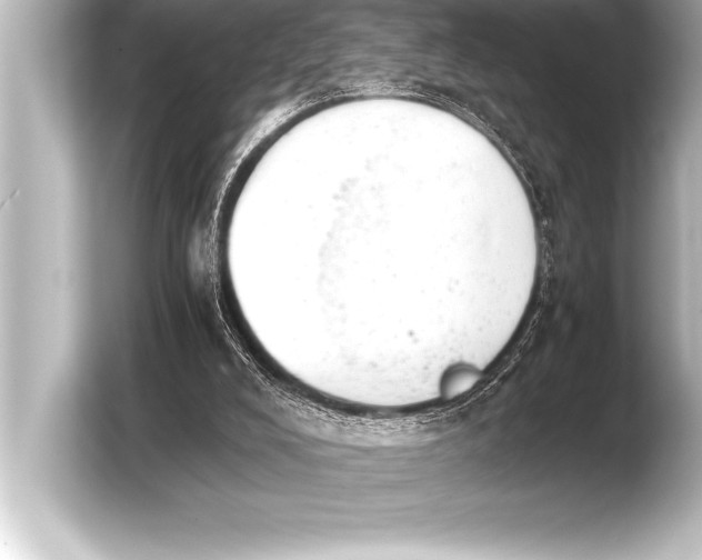 X0000103960008200810031213