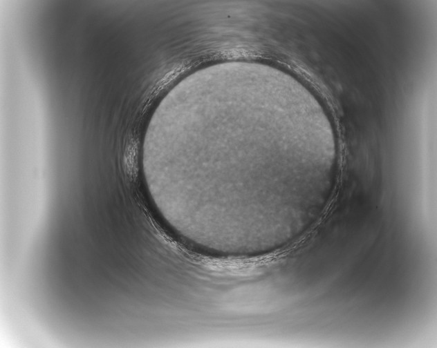 X0000103960009200810031213