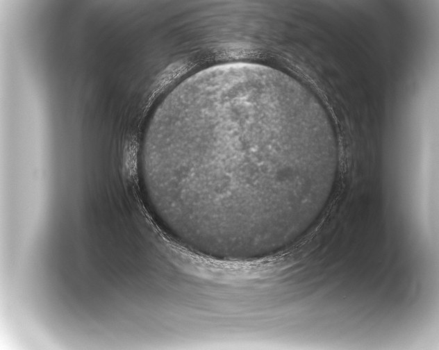 X0000103960010200810031213