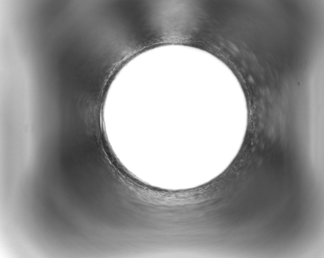 X0000103960011200810031213