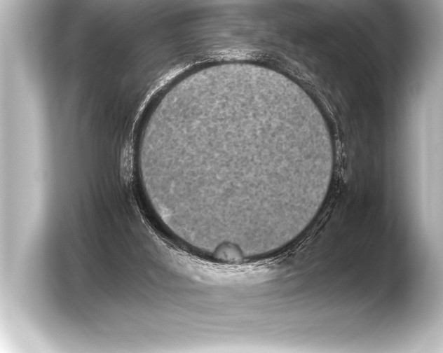 X0000103960012200810031213