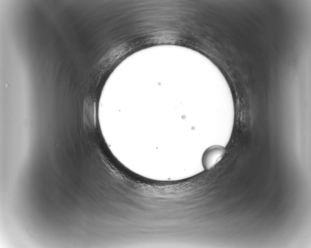 X0000103960013200810031213