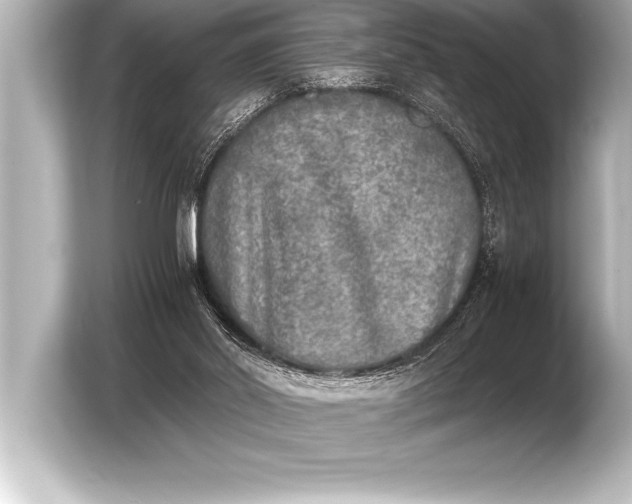 X0000103960014200810031213