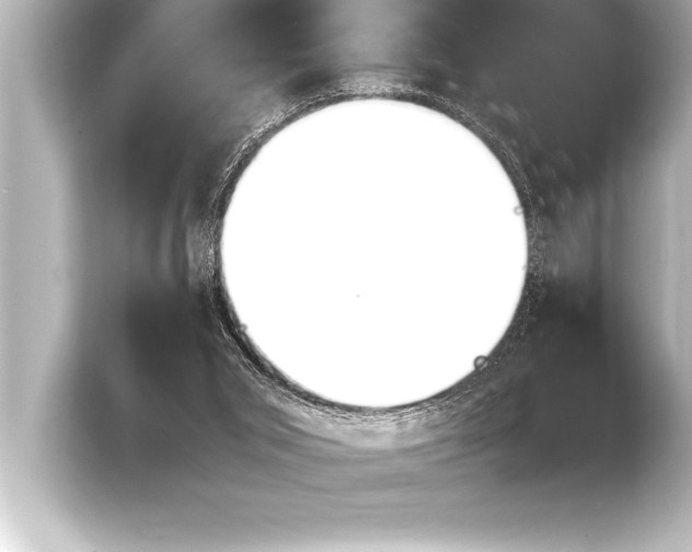 X0000103960015200810031213