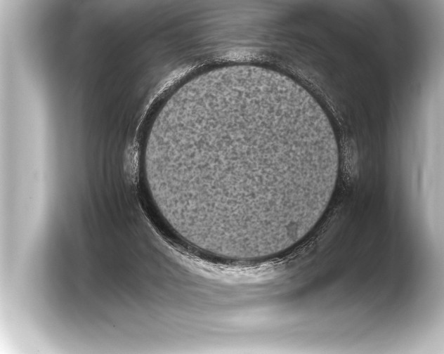 X0000103960016200810031213