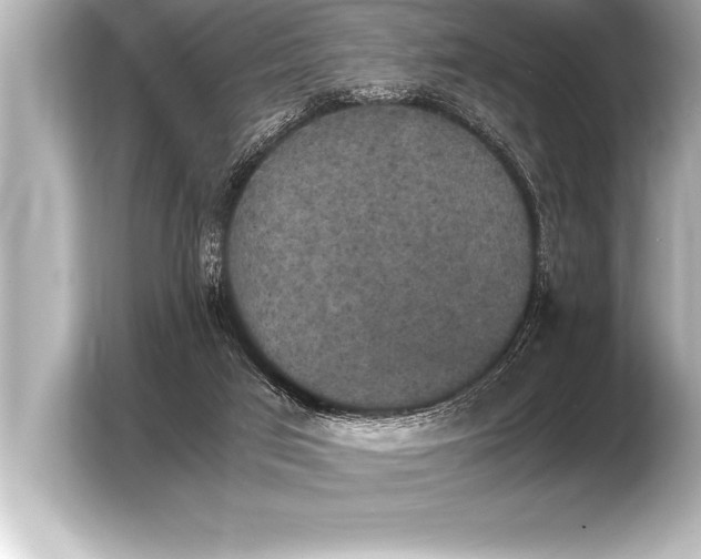 X0000103960017200810031213