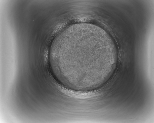 X0000103960018200810031213