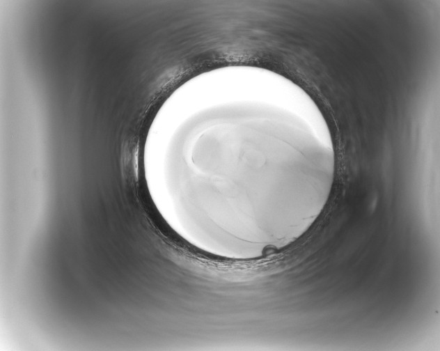 X0000103960019200810031213