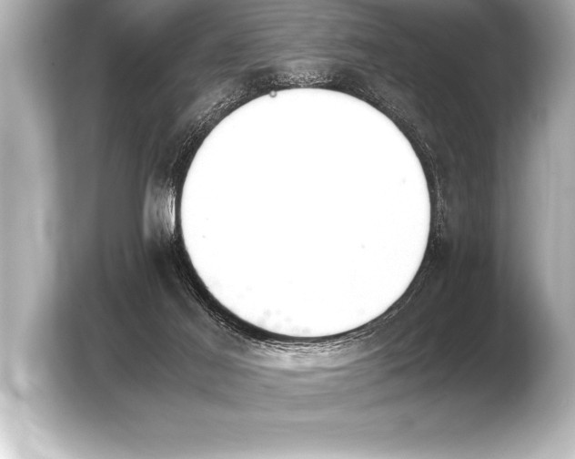 X0000103960021200810031213