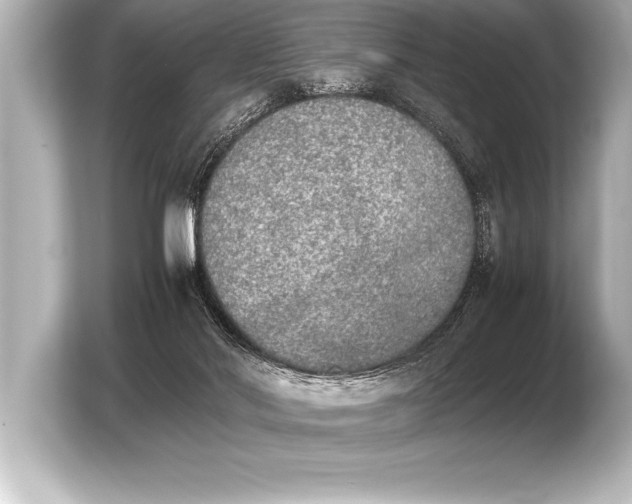 X0000103960022200810031213