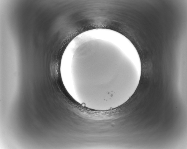 X0000103960023200810031213