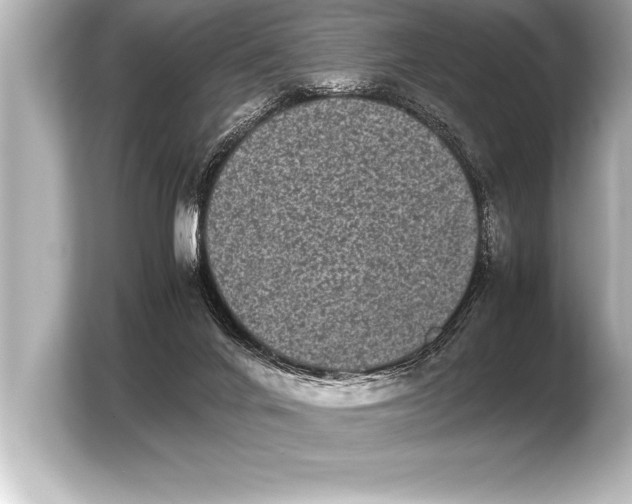 X0000103960024200810031213