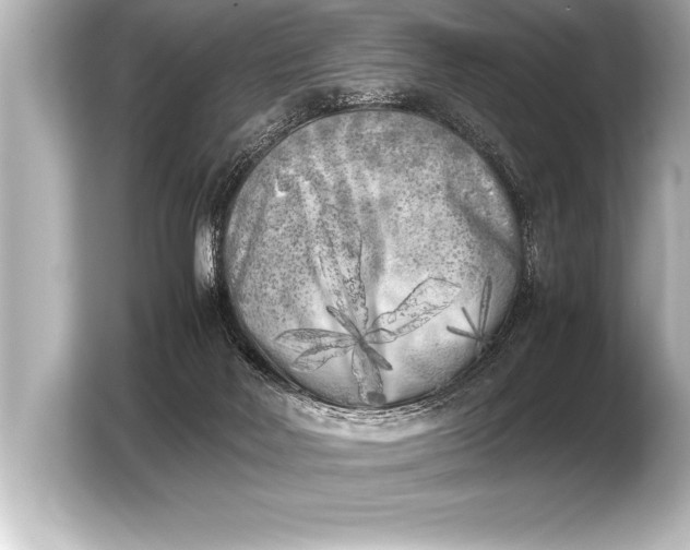 X0000103960026200810031213