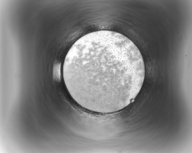 X0000103960028200810031213