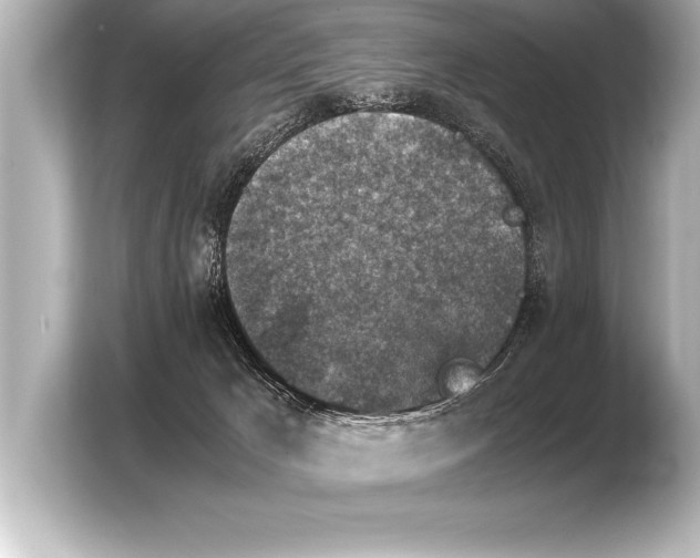 X0000103960029200810031213