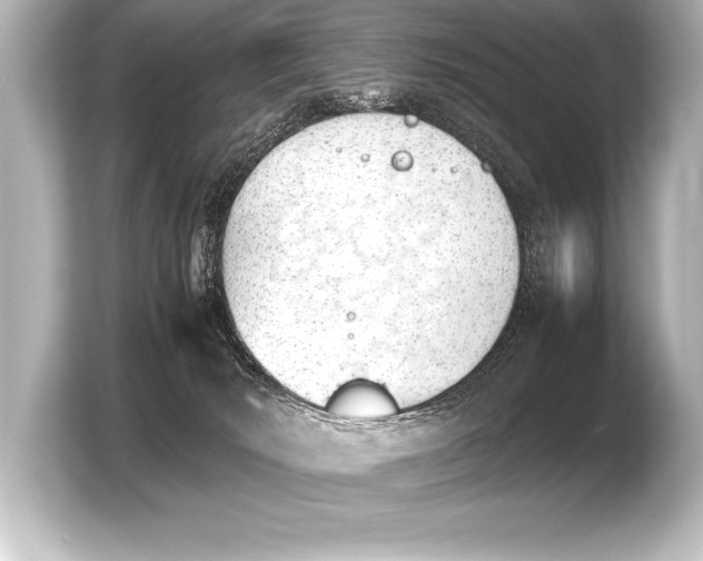 X0000103960030200810031213