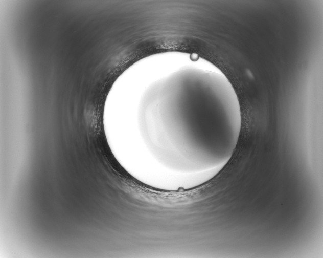 X0000103960031200810031213