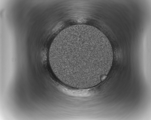 X0000103960032200810031213