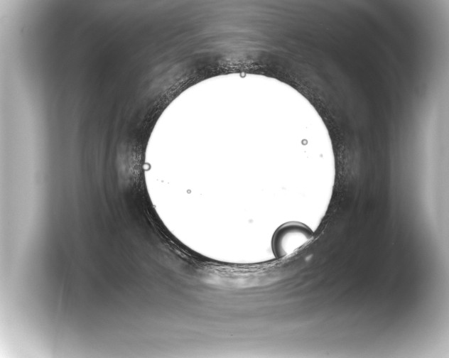 X0000103960033200810031213