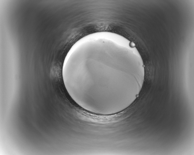 X0000103960035200810031213