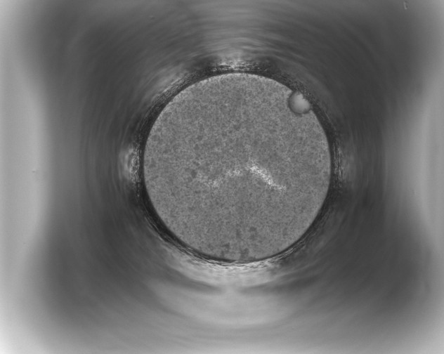 X0000103960036200810031213