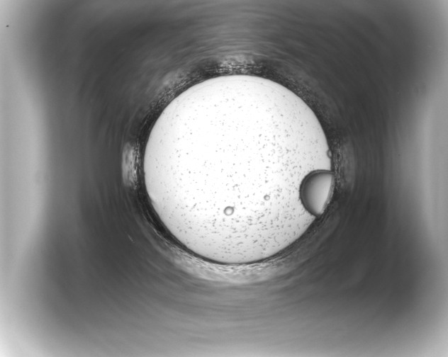 X0000103960038200810031213