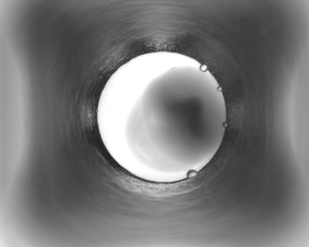 X0000103960039200810031213