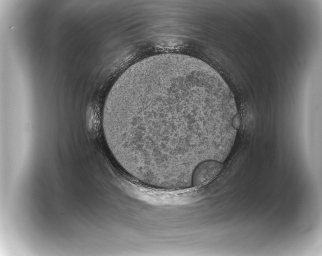 X0000103960040200810031213