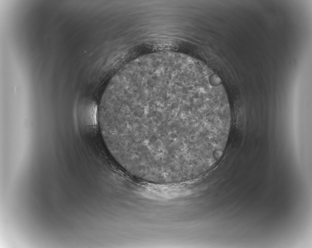 X0000103960041200810031213