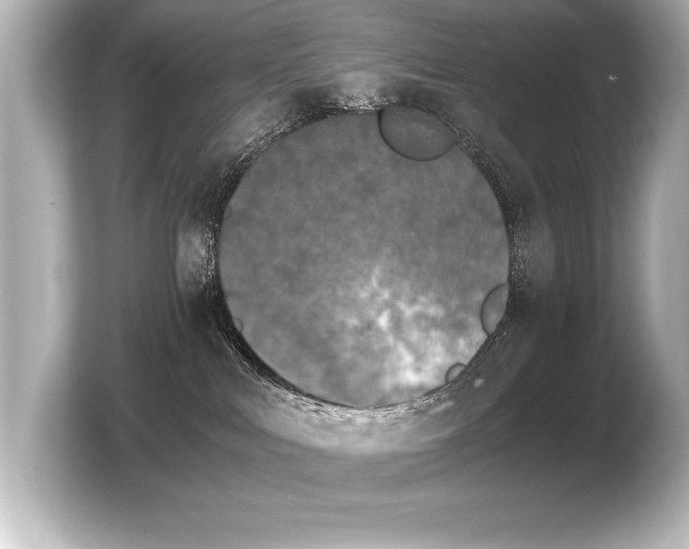 X0000103960043200810031213