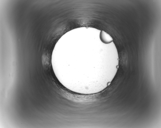 X0000103960044200810031213