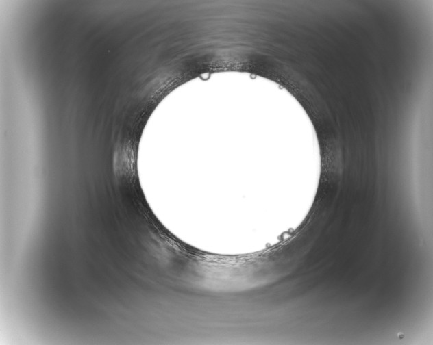 X0000103960045200810031213