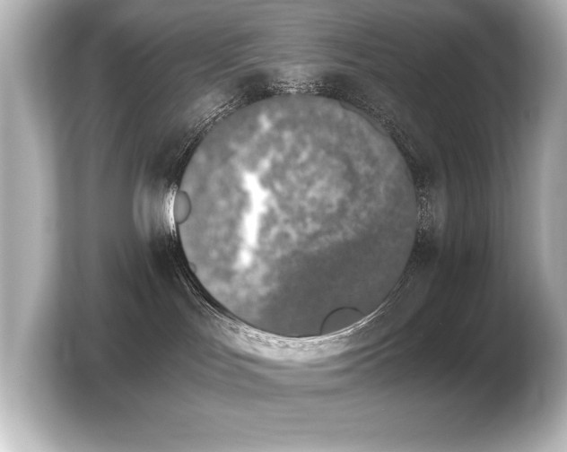 X0000103960047200810031213