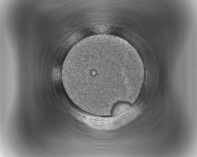 X0000103960048200810031213