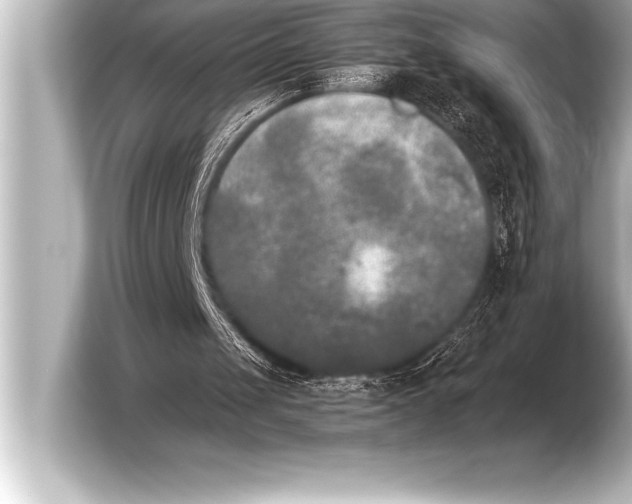 X0000103960049200810031212