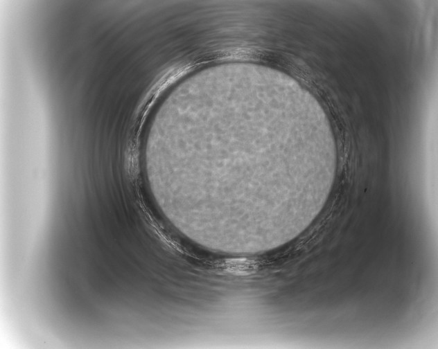 X0000103960050200810031212