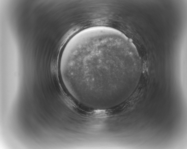 X0000103960052200810031212