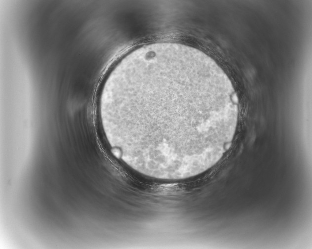 X0000103960054200810031212