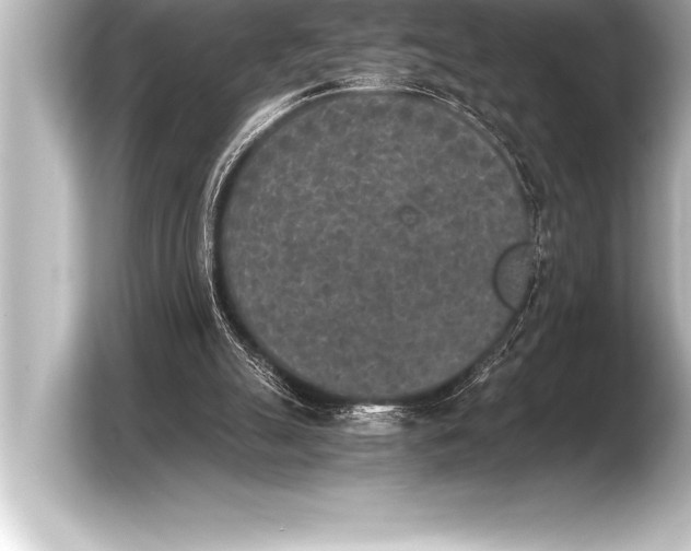 X0000103960055200810031212