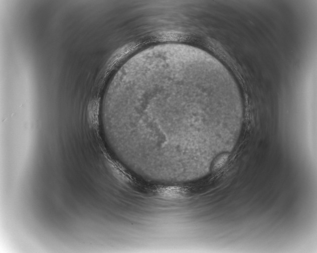 X0000103960058200810031212