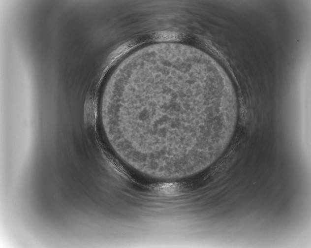 X0000103960059200810031212