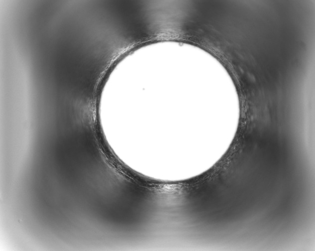 X0000103960060200810031212