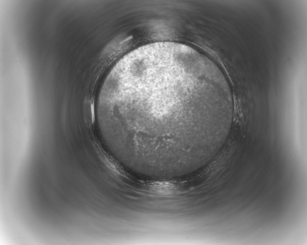 X0000103960061200810031212