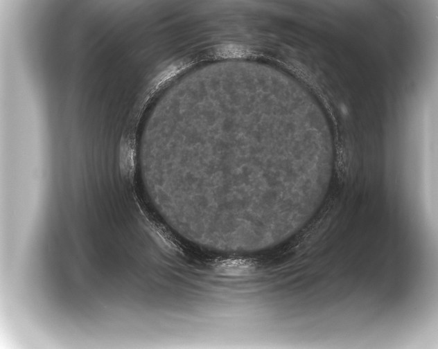 X0000103960063200810031212