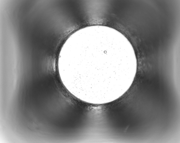 X0000103960068200810031212